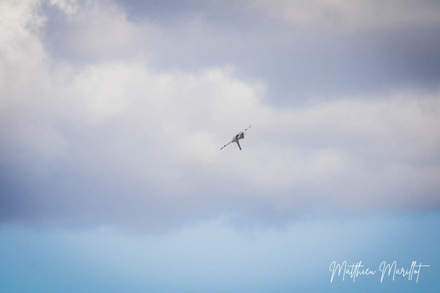 AirLegend - Avion — photo 63