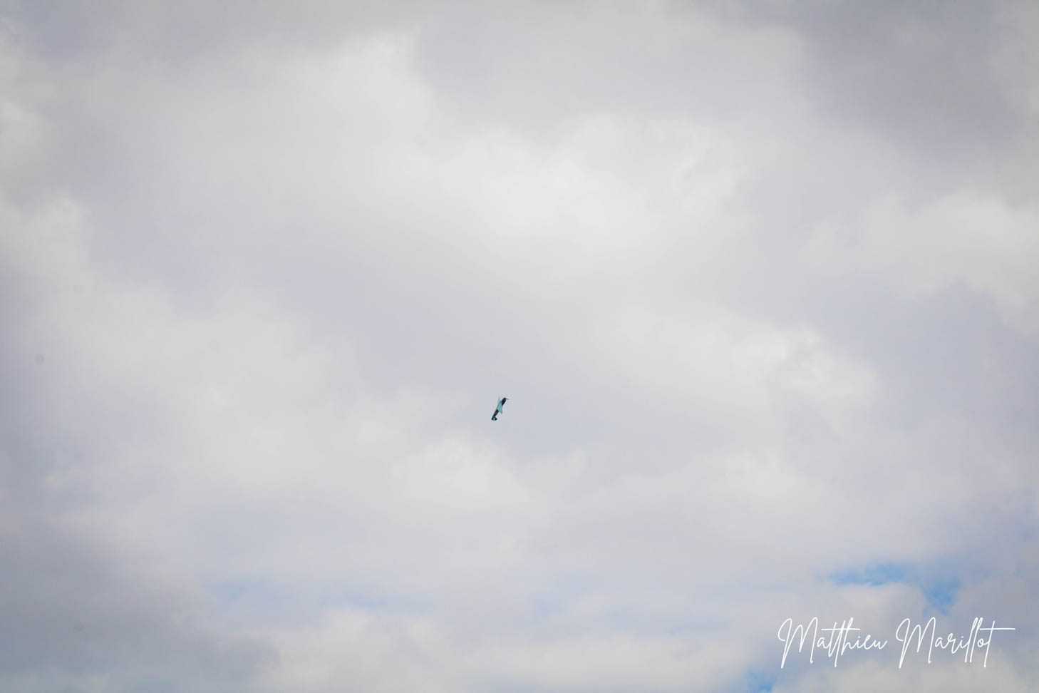 AirLegend - Avion — photo 93