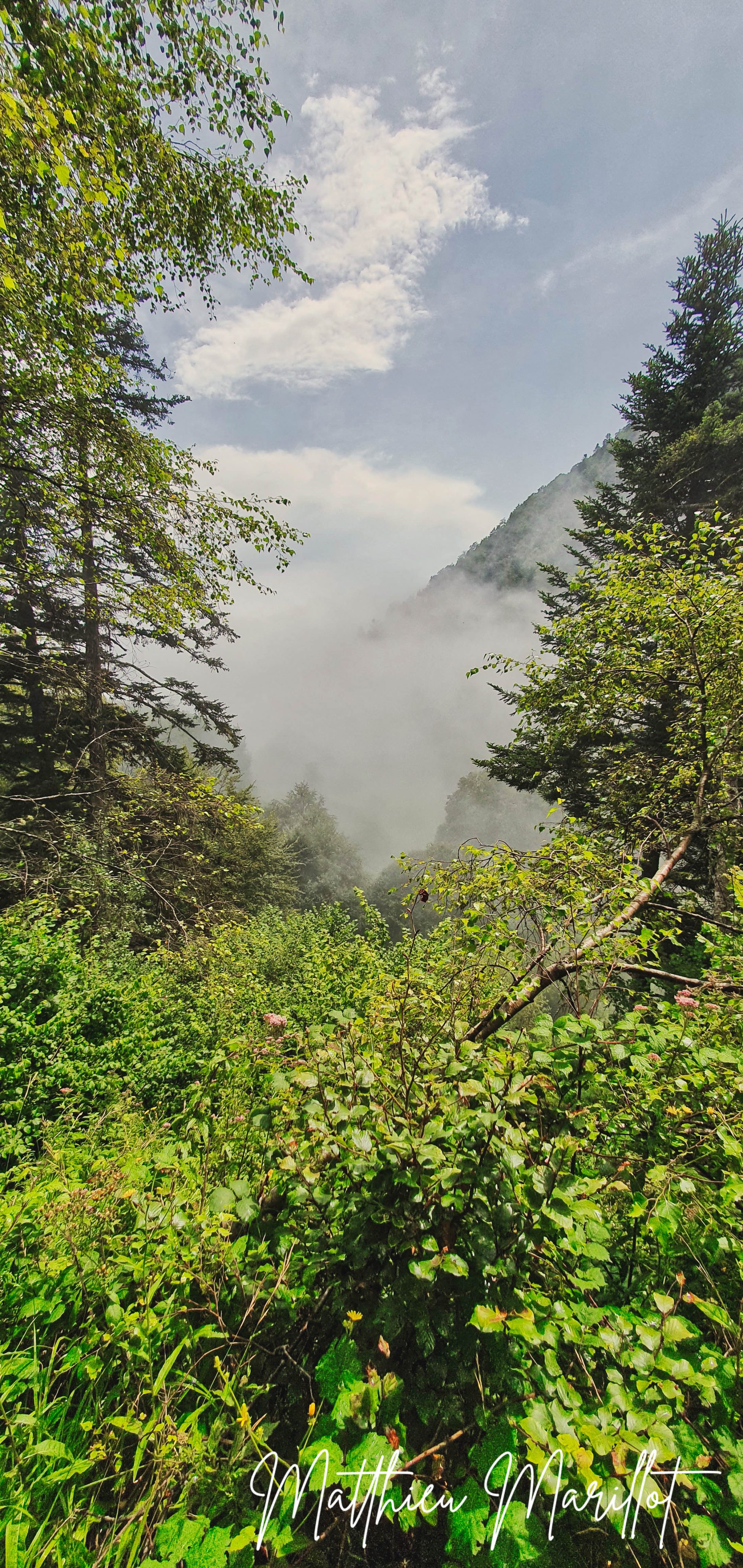 Benou - Cabane Lasbordes — photo 6