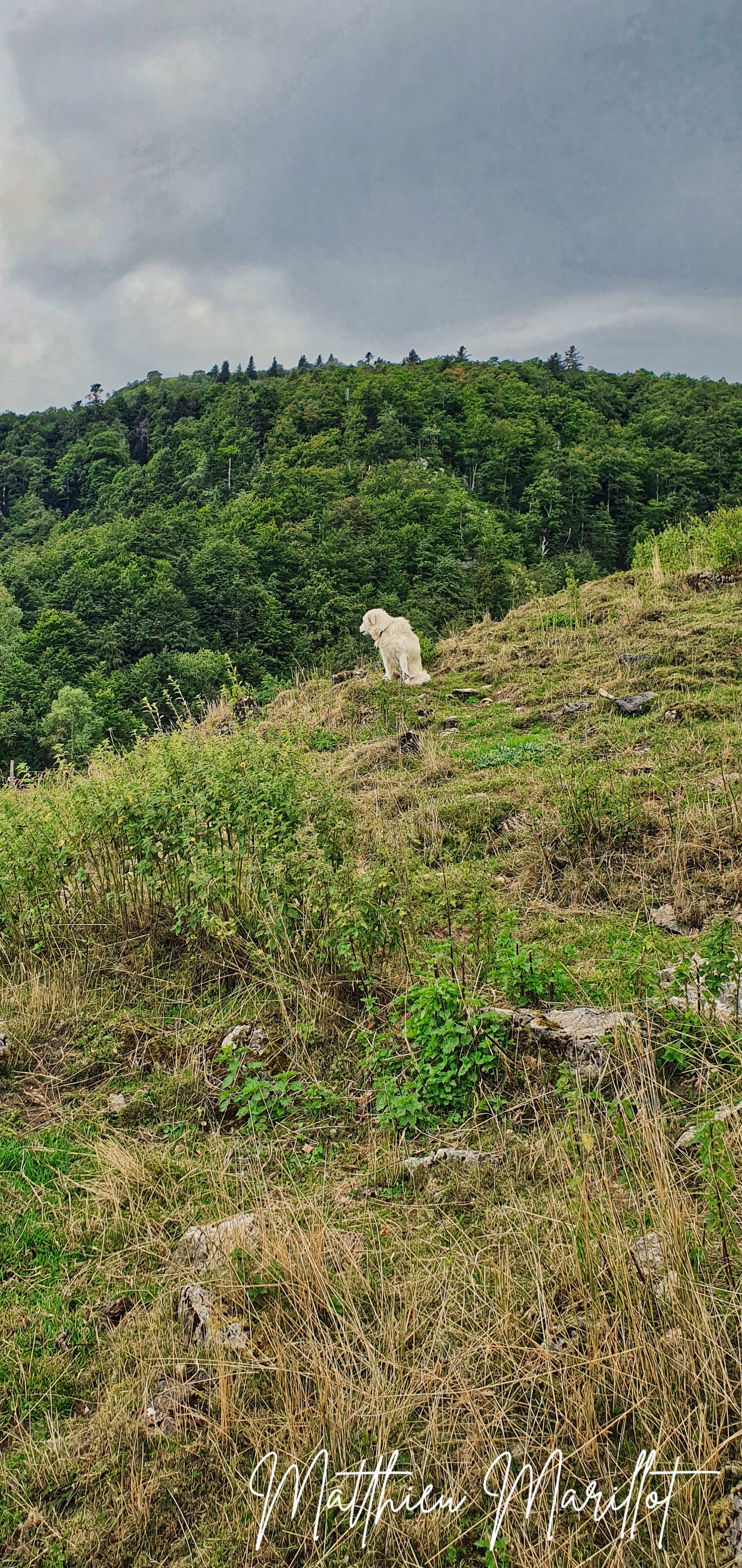 Benou - Cabane Lasbordes — photo 17