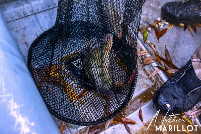 [COMPÉTITION] RC Fishing World — photo 36
