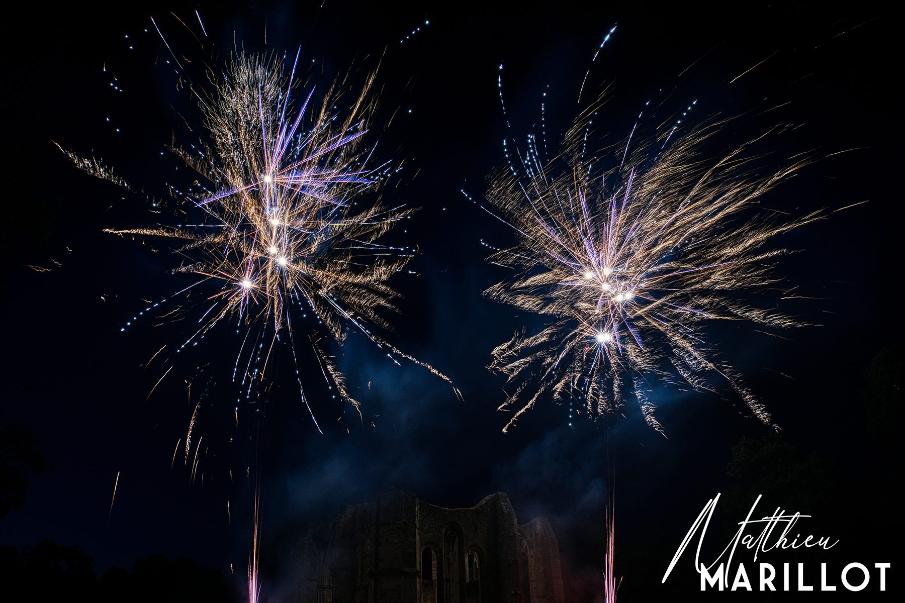 Feu d'Artifice Dammarie Les Lys — photo 103
