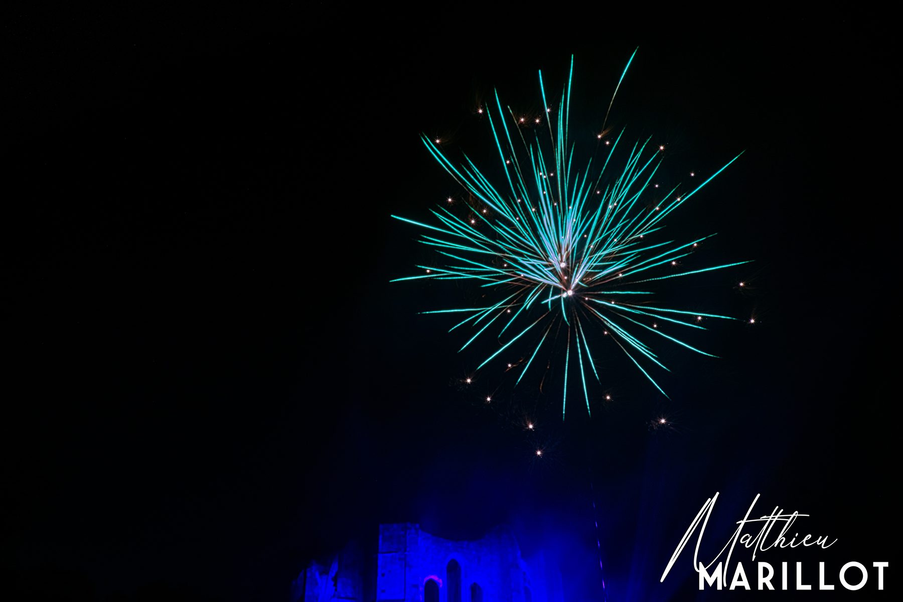 Feu d'Artifice Dammarie Les Lys — photo 114