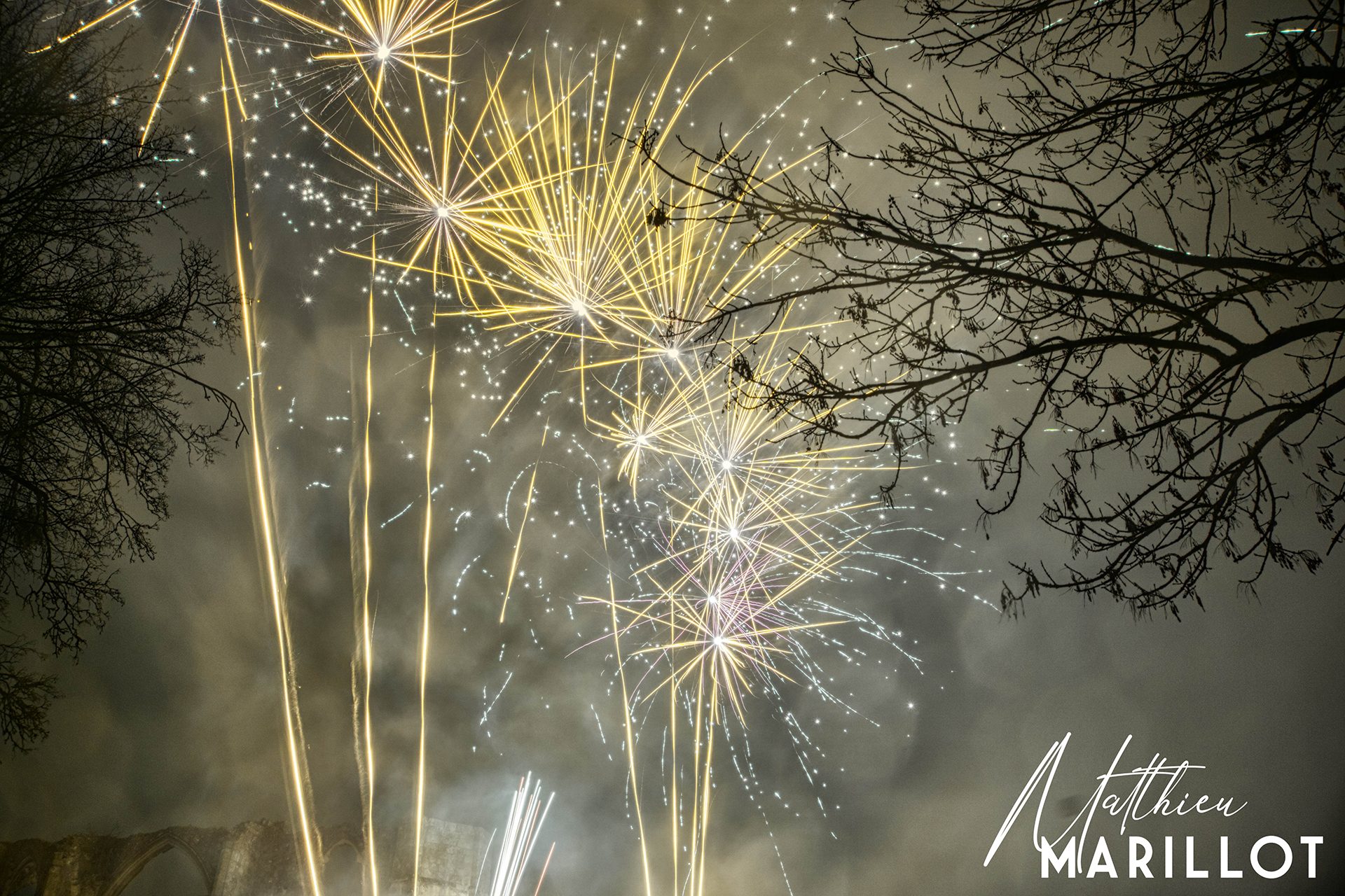 Feu d'Artifice Dammarie-Les-Lys — photo 2