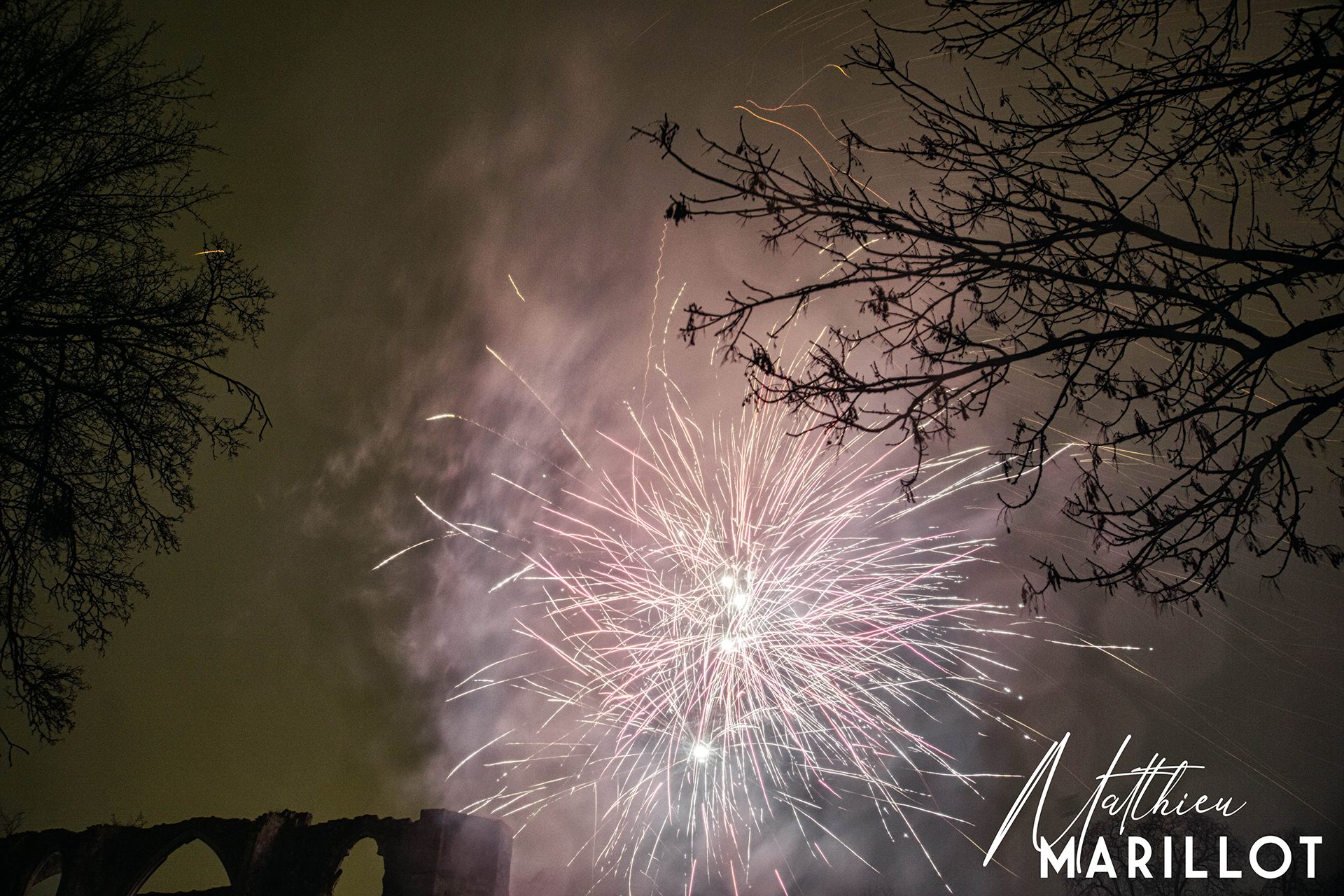 Feu d'Artifice Dammarie-Les-Lys — photo 25