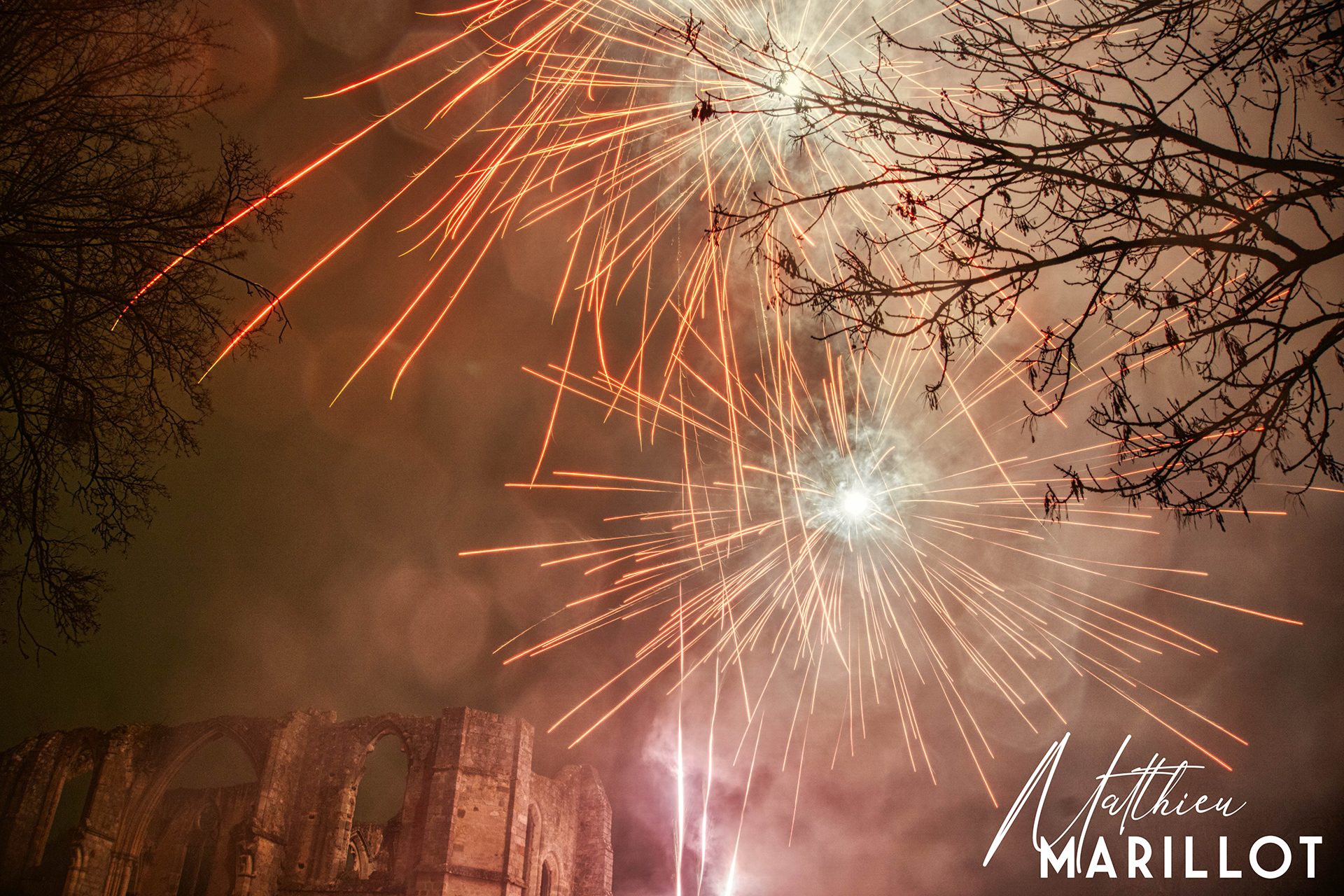 Feu d'Artifice Dammarie-Les-Lys — photo 38