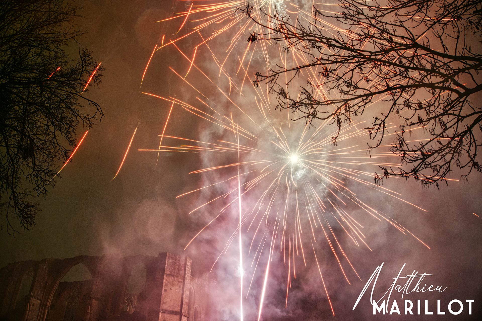 Feu d'Artifice Dammarie-Les-Lys — photo 27