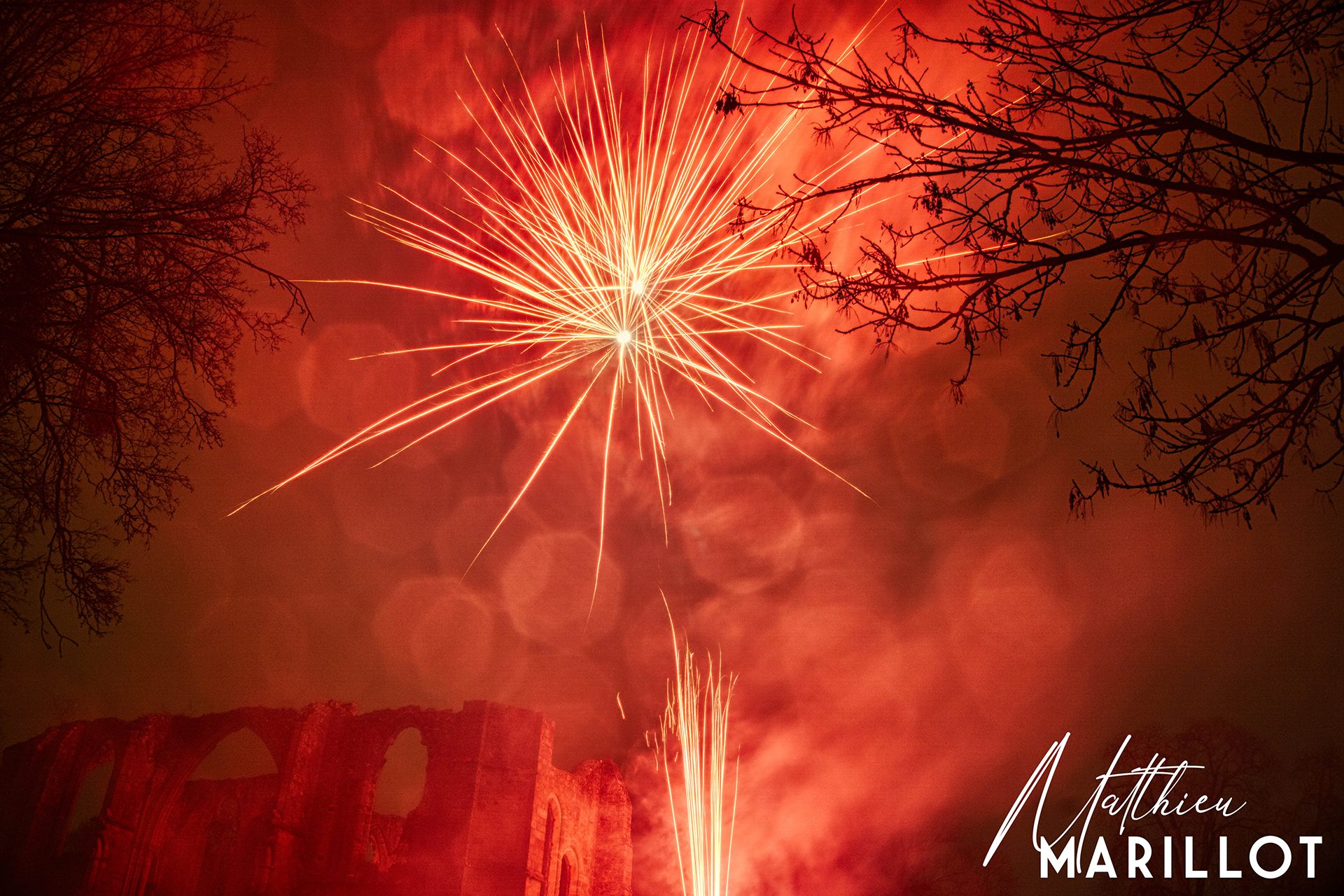 Feu d'Artifice Dammarie-Les-Lys — photo 39