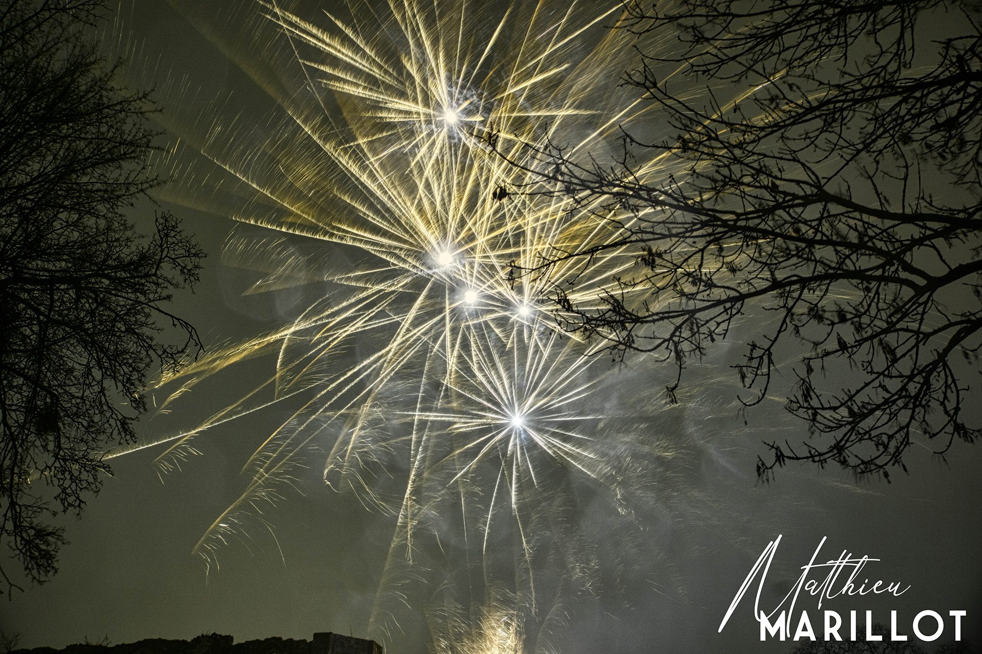 Feu d'Artifice Dammarie-Les-Lys — photo 29