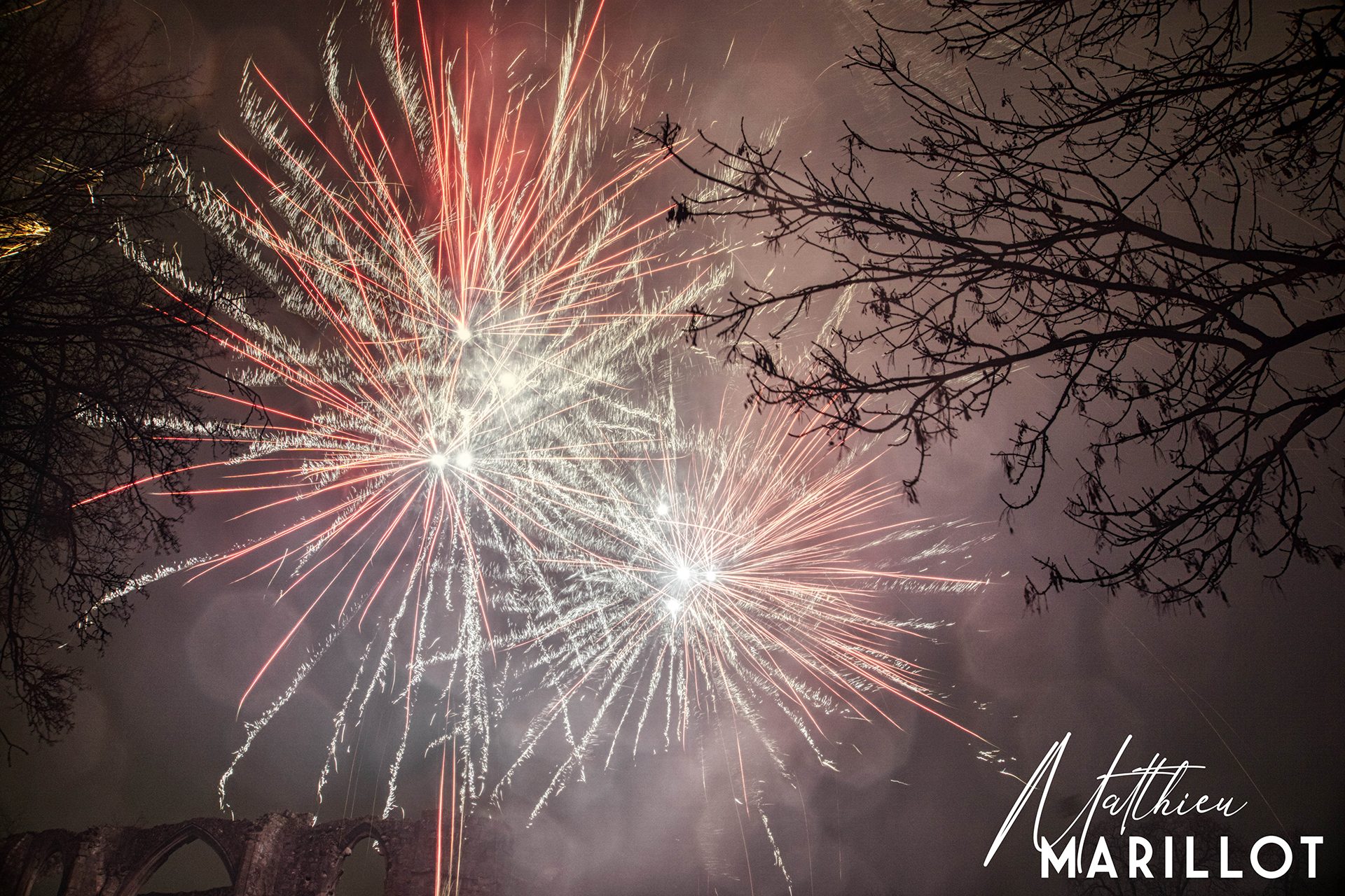 Feu d'Artifice Dammarie-Les-Lys — photo 41