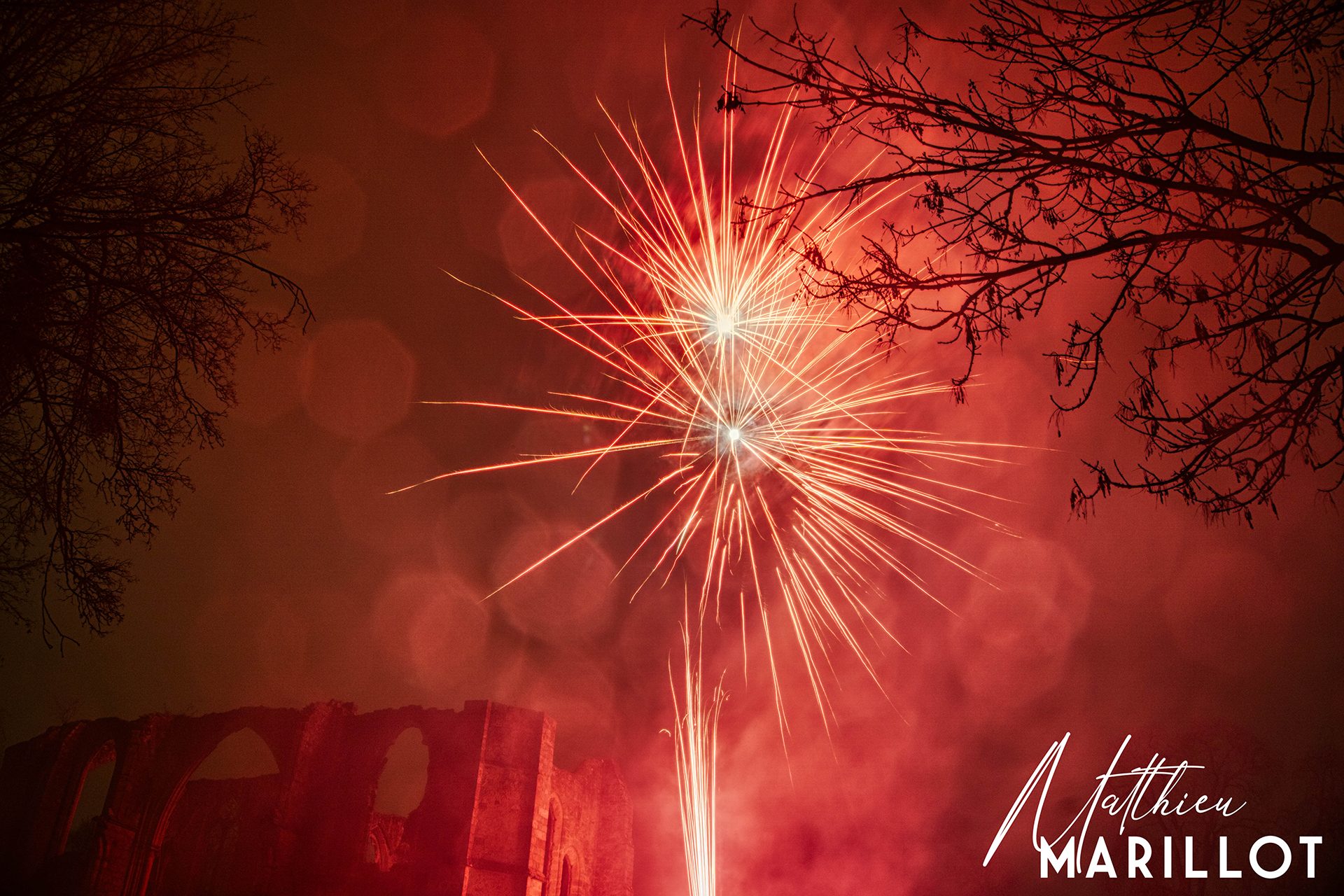 Feu d'Artifice Dammarie-Les-Lys — photo 10