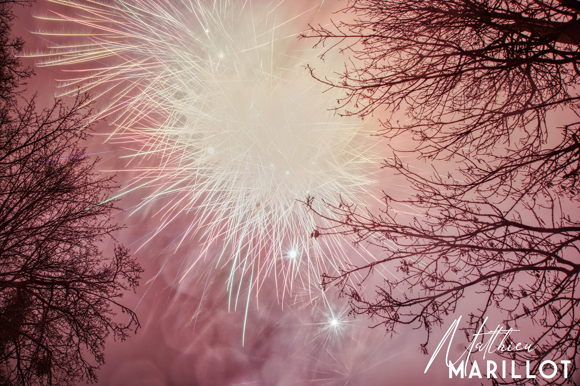Feu d'Artifice Dammarie-Les-Lys — photo 11