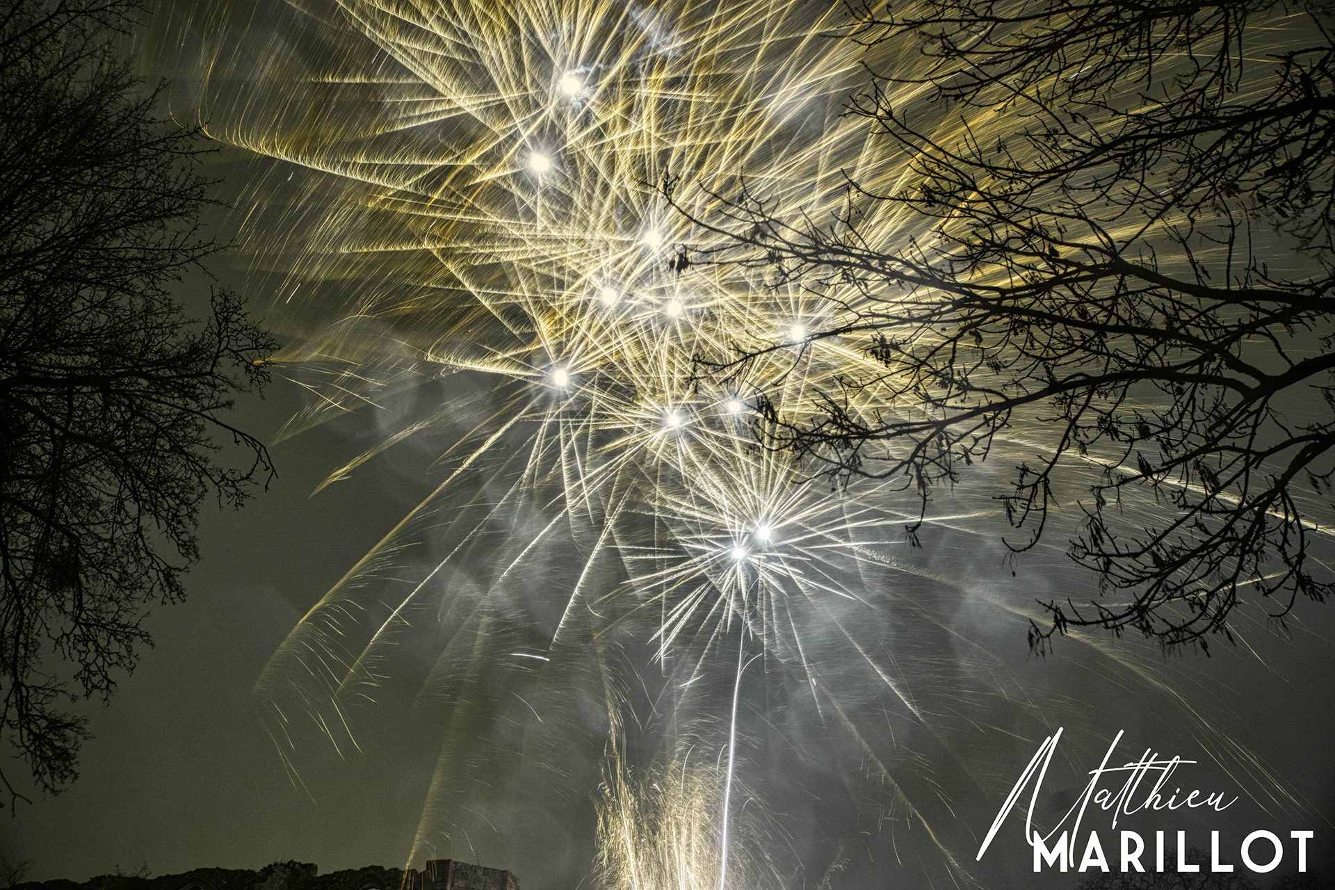 Feu d'Artifice Dammarie-Les-Lys — photo 16
