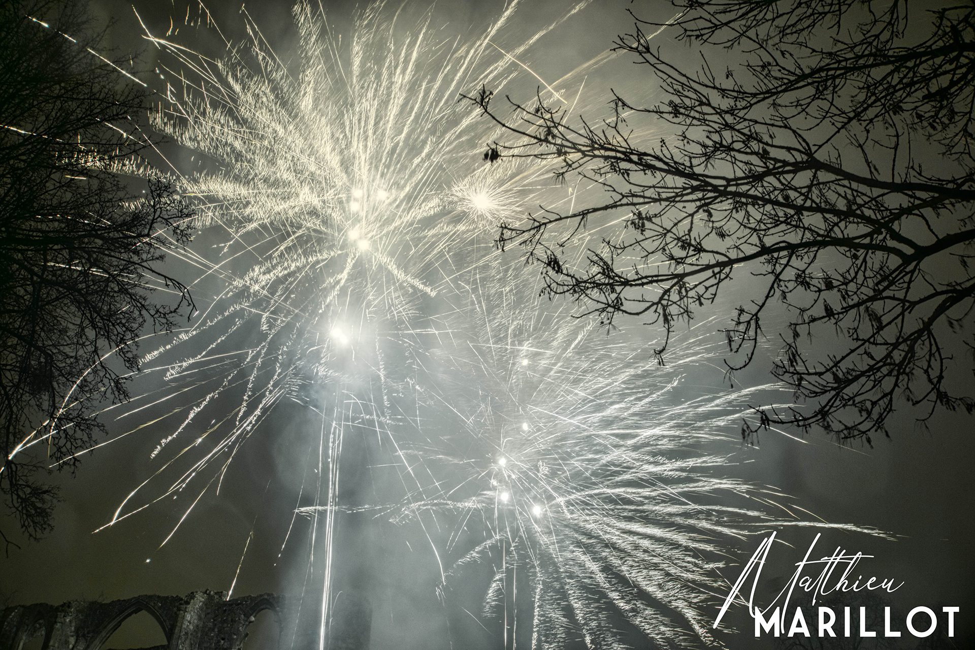 Feu d'Artifice Dammarie-Les-Lys — photo 60