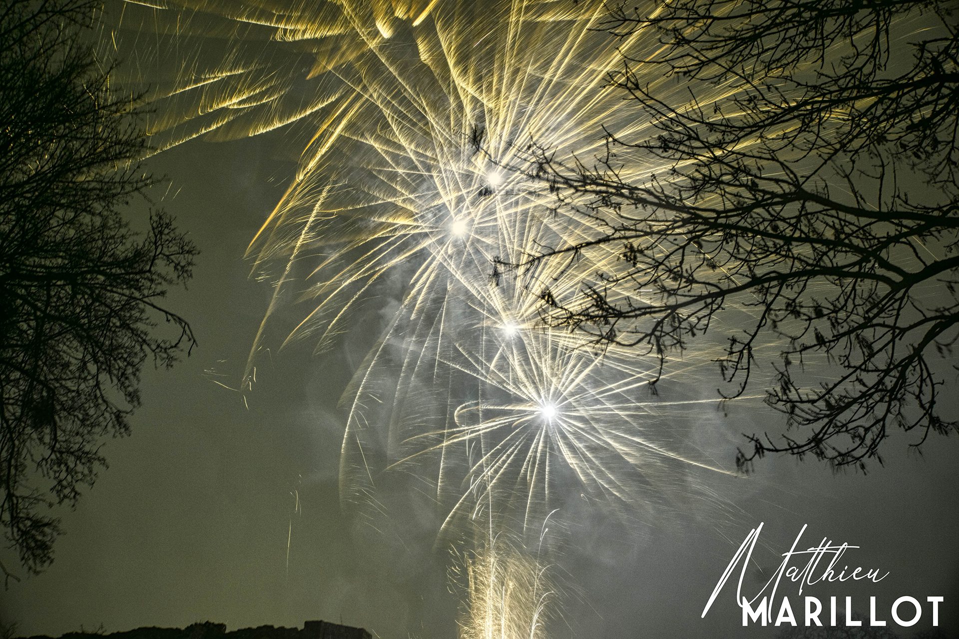 Feu d'Artifice Dammarie-Les-Lys — photo 61