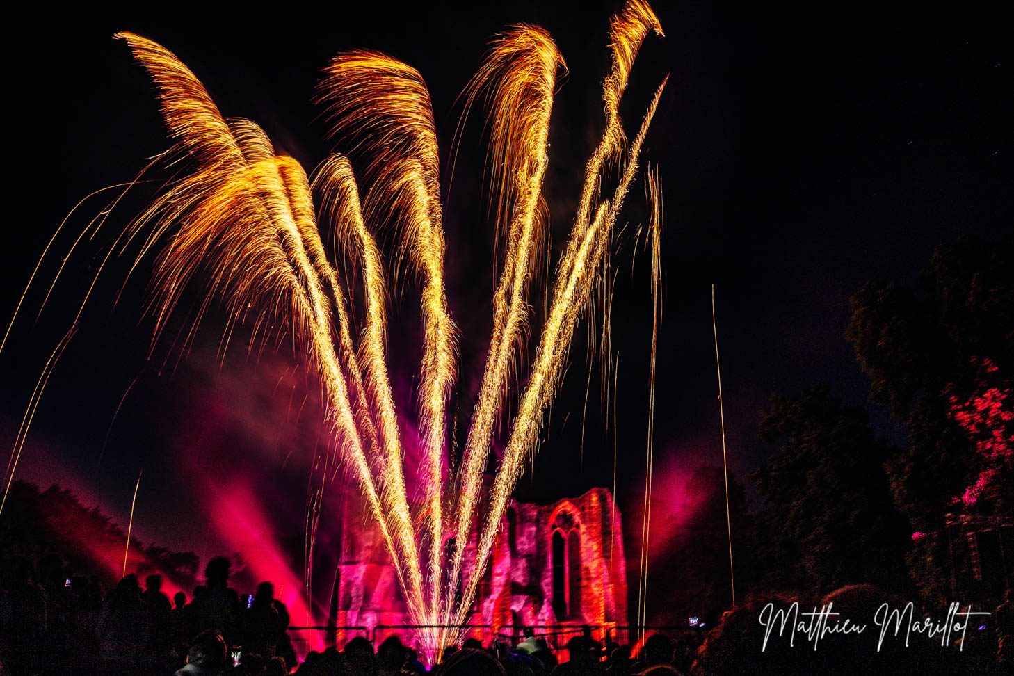 Feu d'Artifice Dammarie Les Lys — photo 38