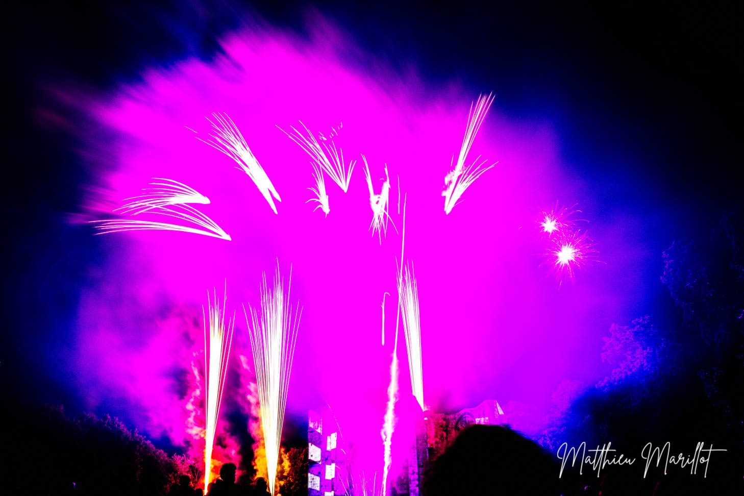 Feu d'Artifice Dammarie Les Lys — photo 49
