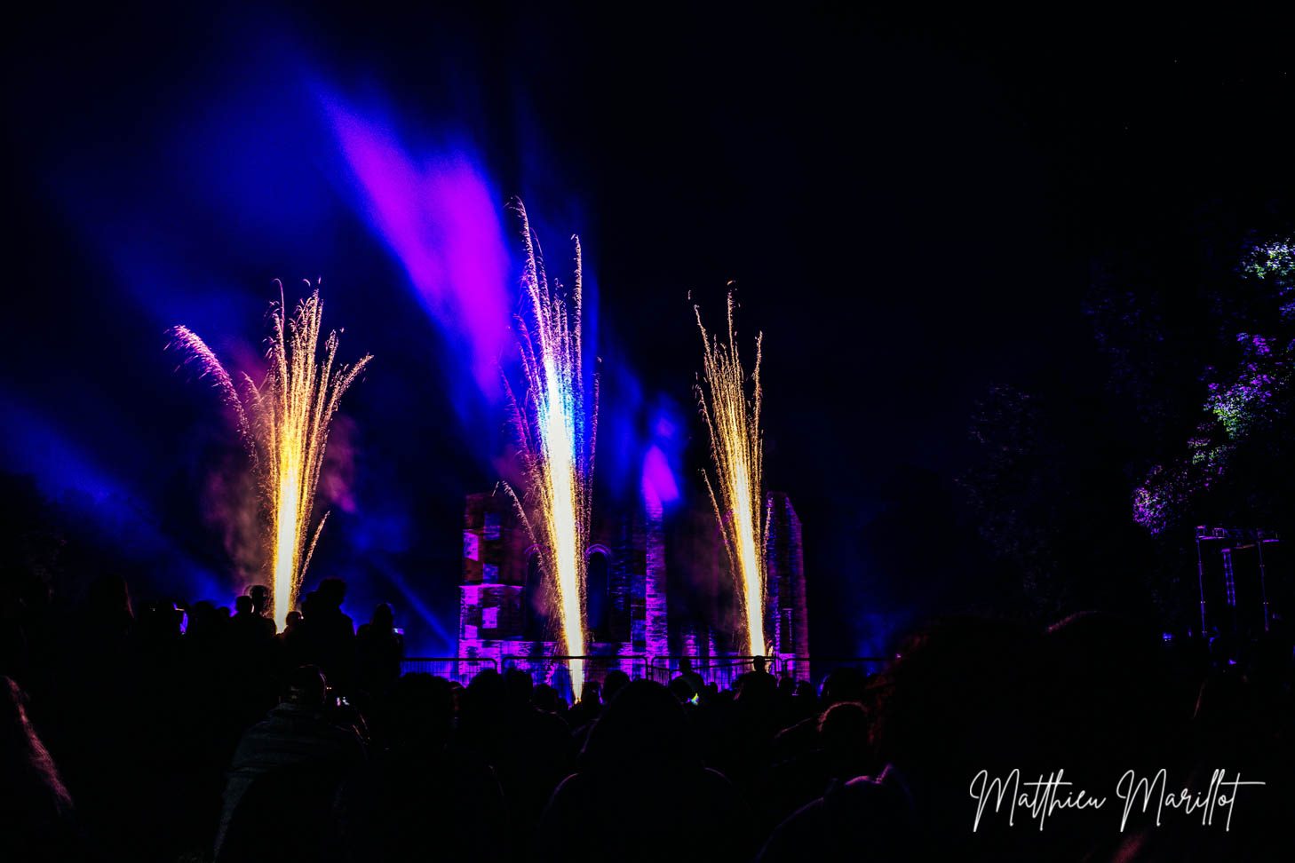 Feu d'Artifice Dammarie Les Lys — photo 15
