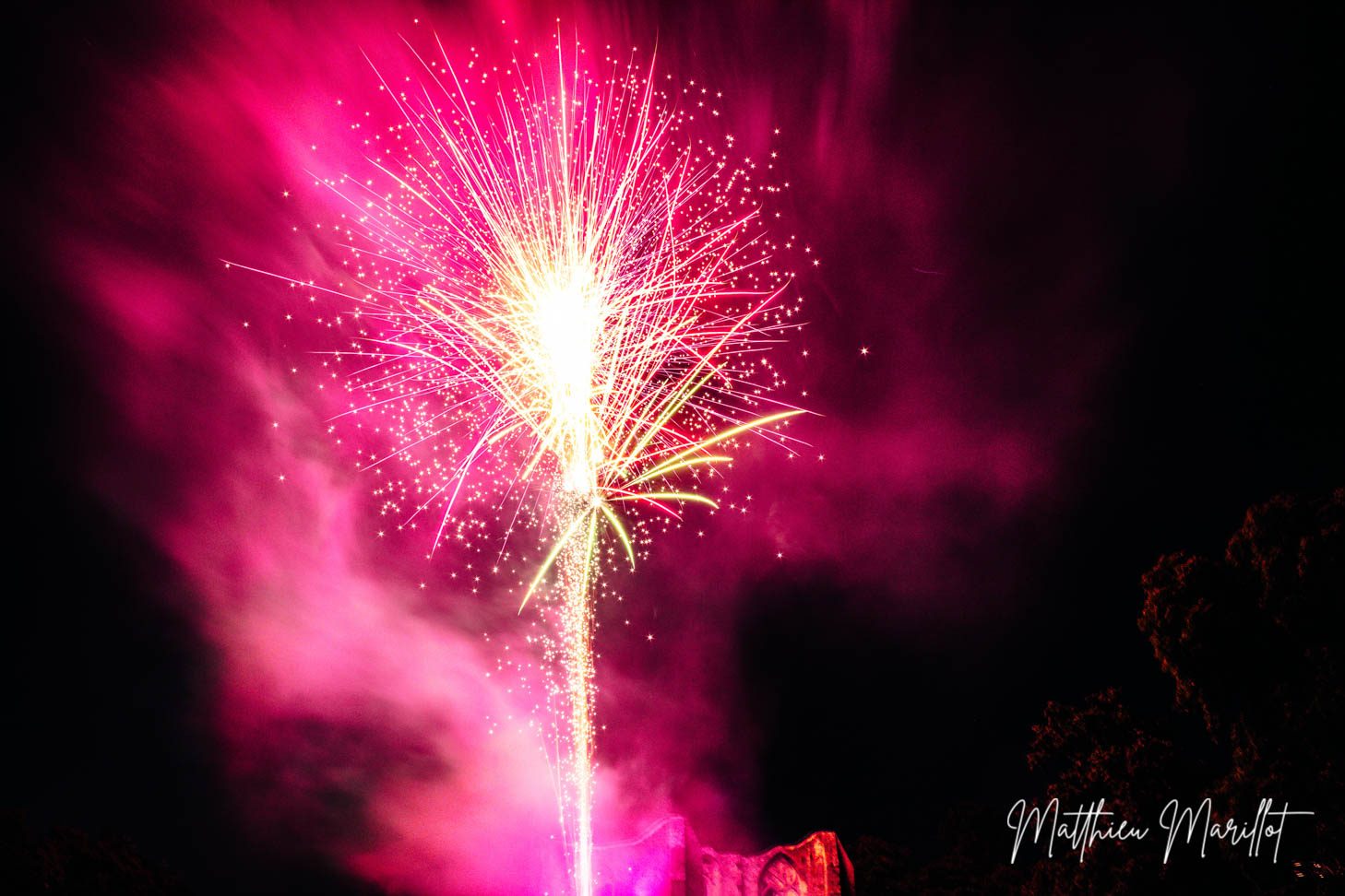 Feu d'Artifice Dammarie Les Lys — photo 11