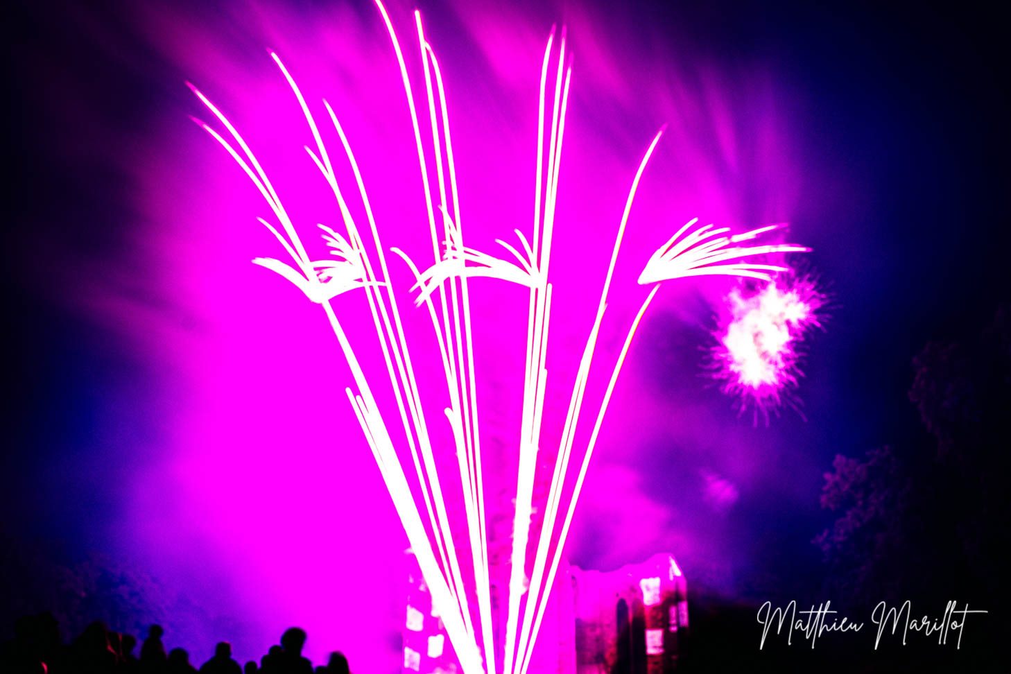 Feu d'Artifice Dammarie Les Lys — photo 16