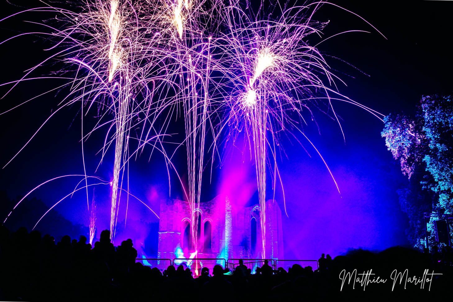 Feu d'Artifice Dammarie Les Lys — photo 23