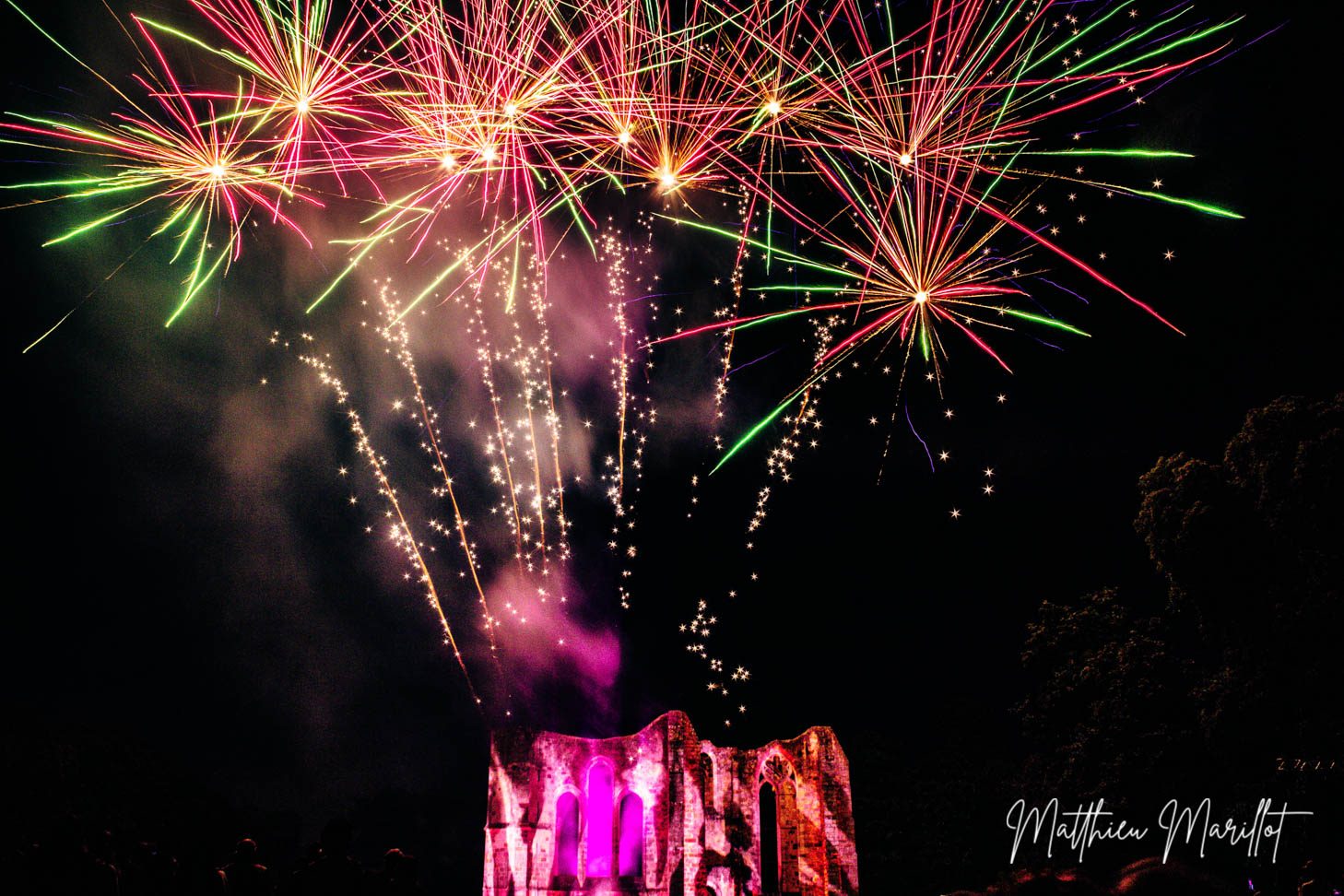 Feu d'Artifice Dammarie Les Lys — photo 12