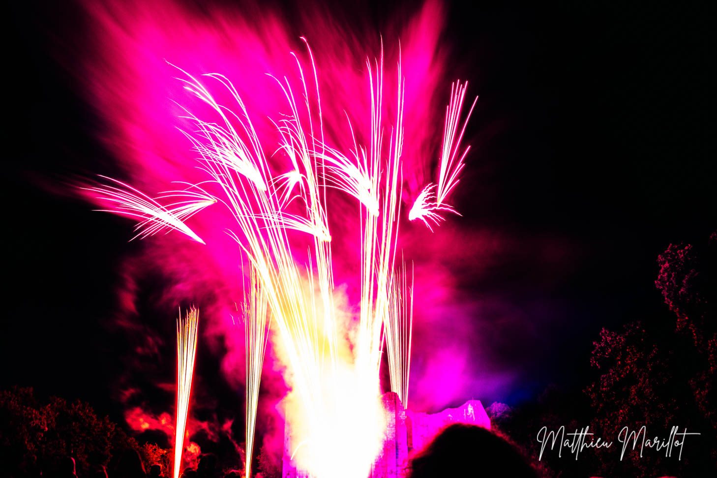 Feu d'Artifice Dammarie Les Lys — photo 20