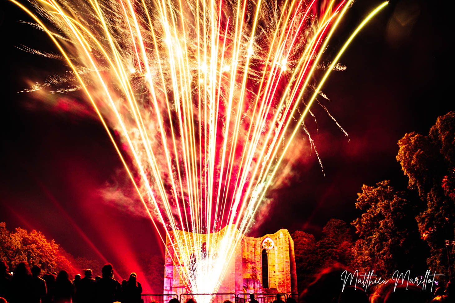 Feu d'Artifice Dammarie Les Lys — photo 22
