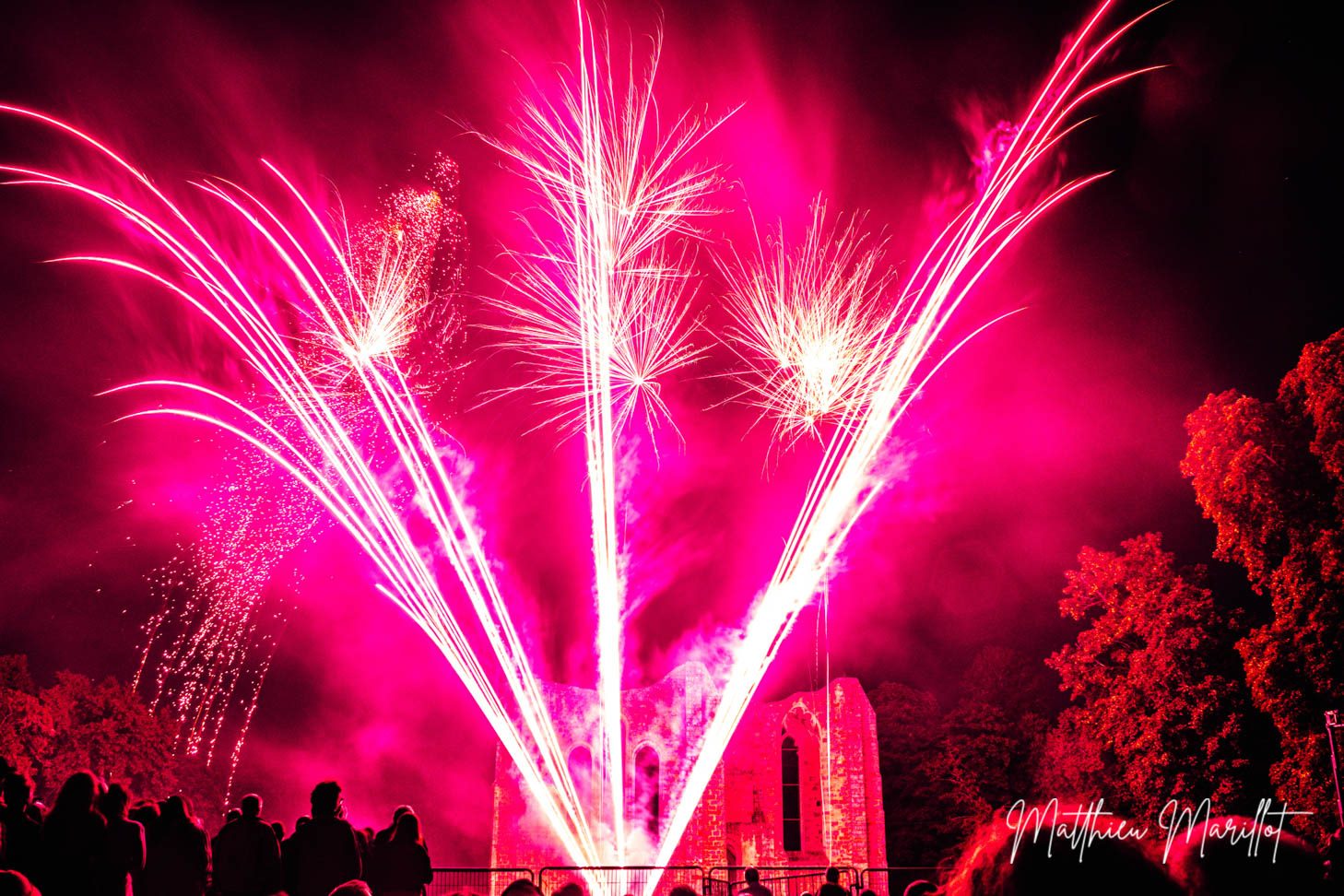 Feu d'Artifice Dammarie Les Lys — photo 8