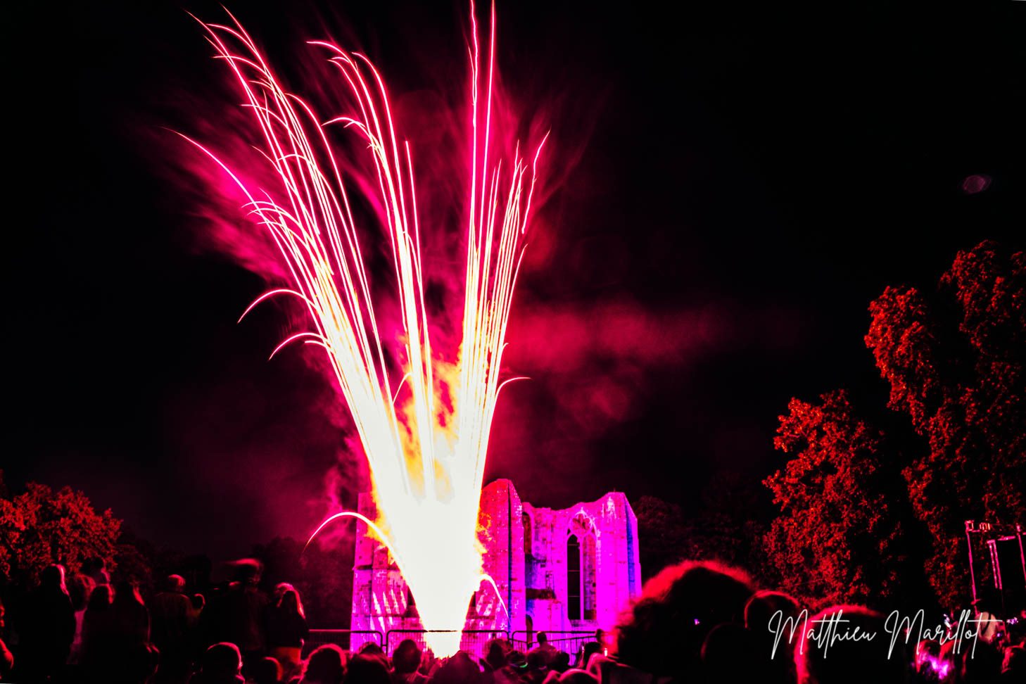 Feu d'Artifice Dammarie Les Lys — photo 9