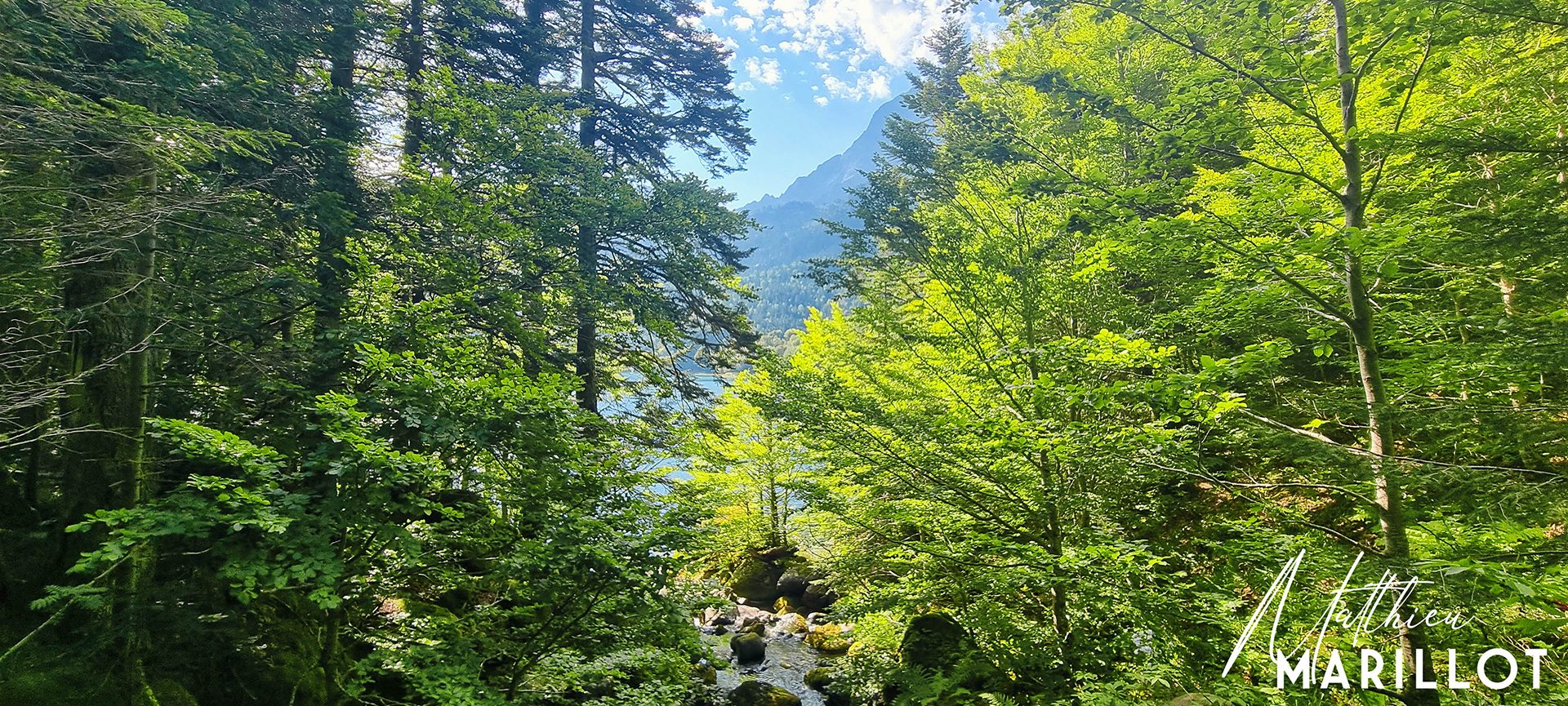Lac de Ayous - Laruns — photo 4