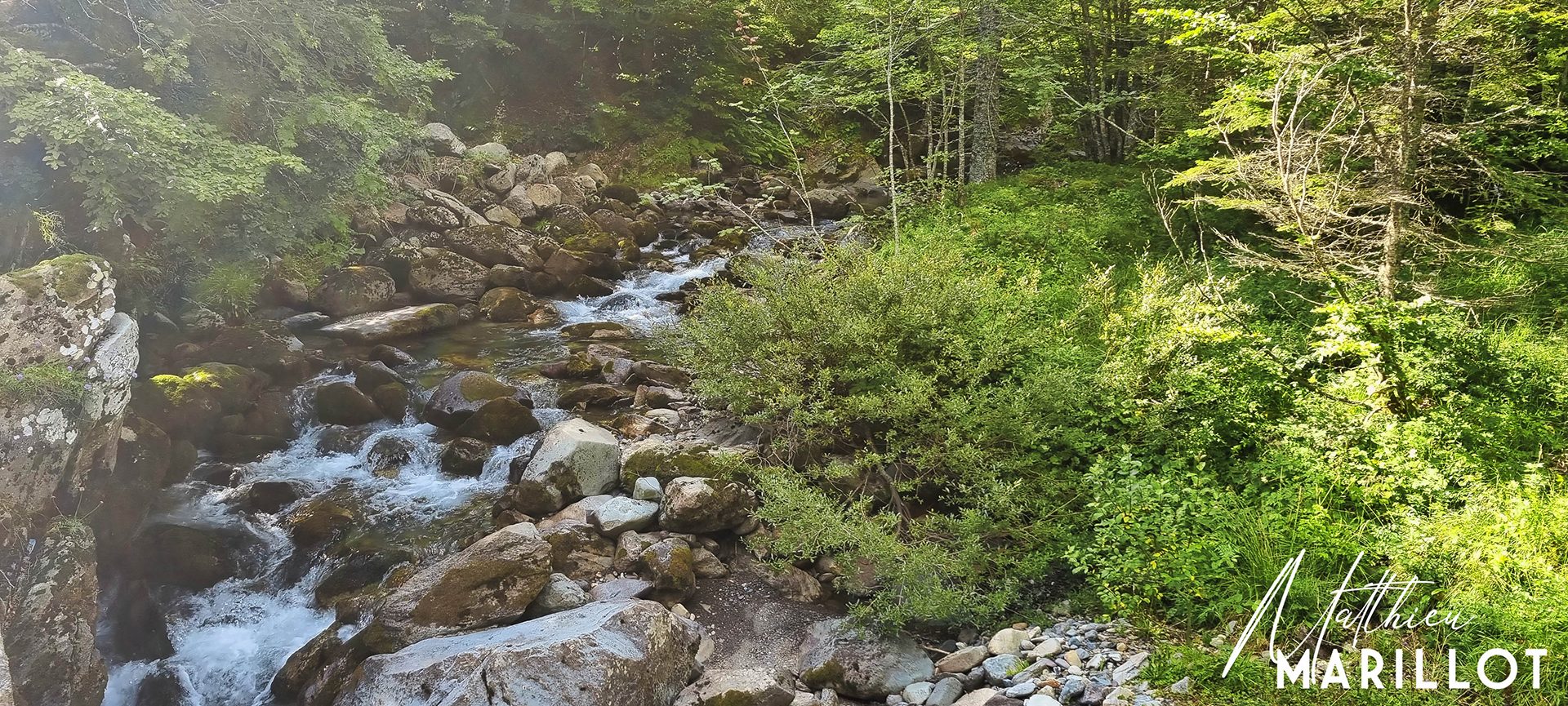 Lac de Ayous - Laruns — photo 12