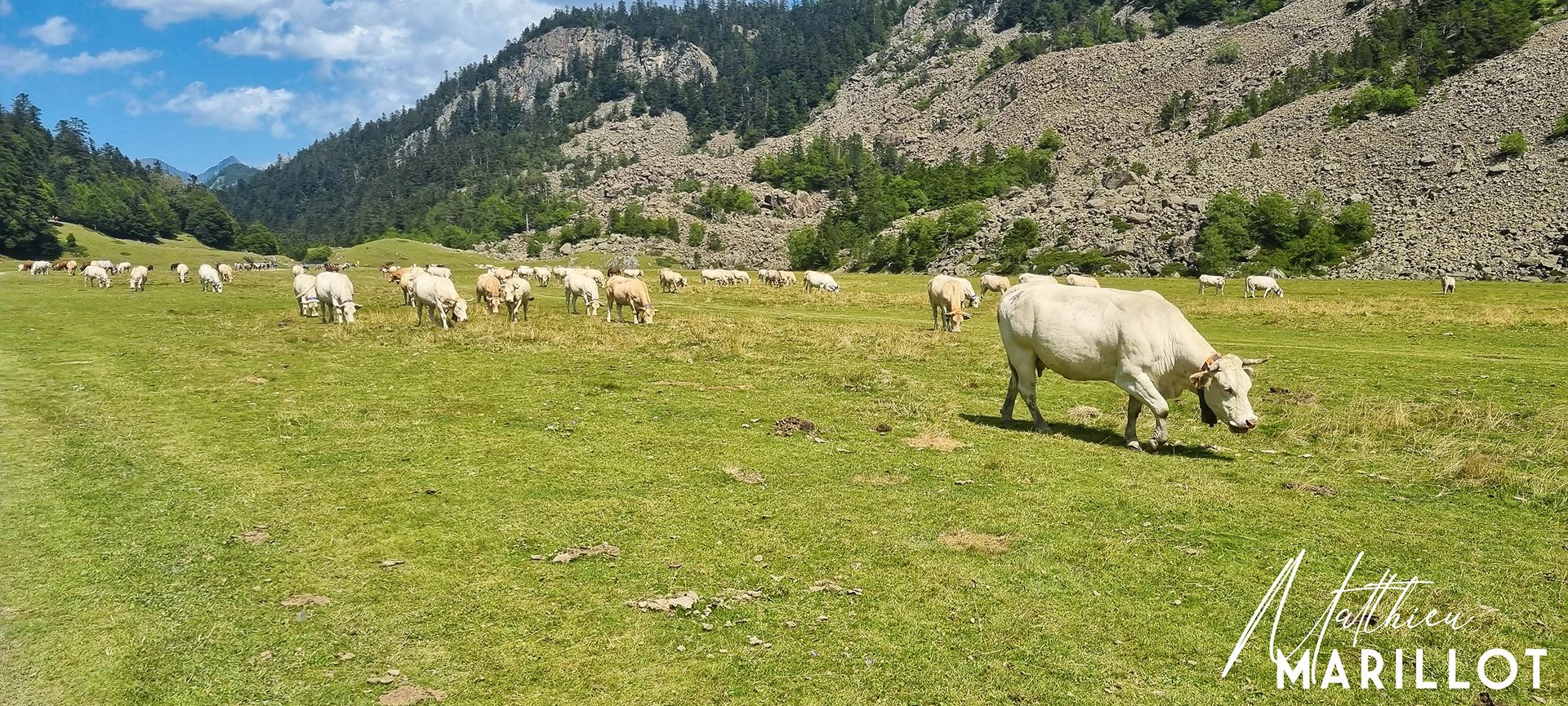 Lac de Ayous - Laruns — photo 21