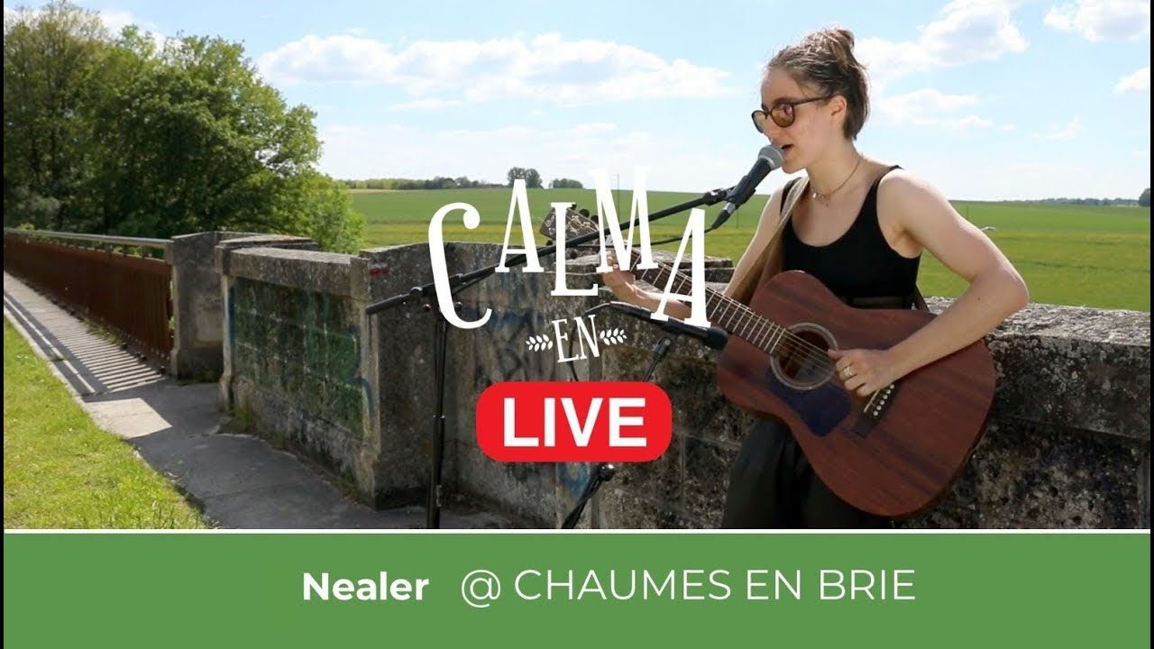 Nealer @Viaduc de Chaumes-en-brie